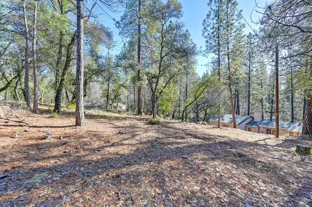 a view of a tree with a yard