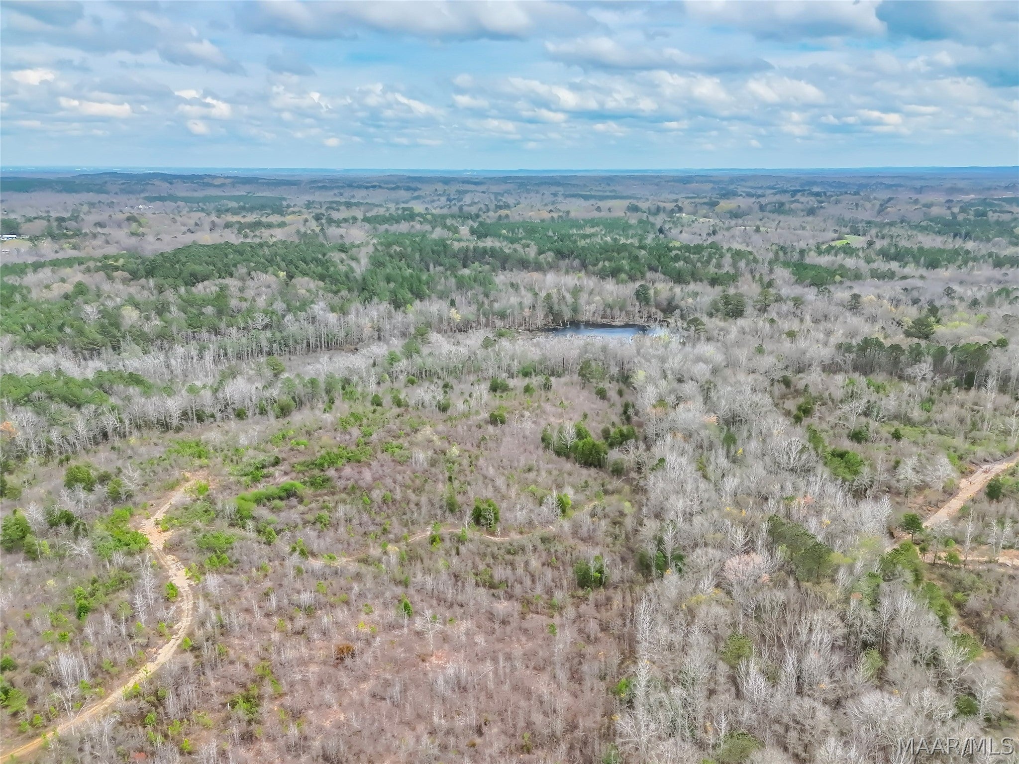 0 Brownin Road Ralph, AL 35480 - Photo 19 of 19 Gallery Image 19