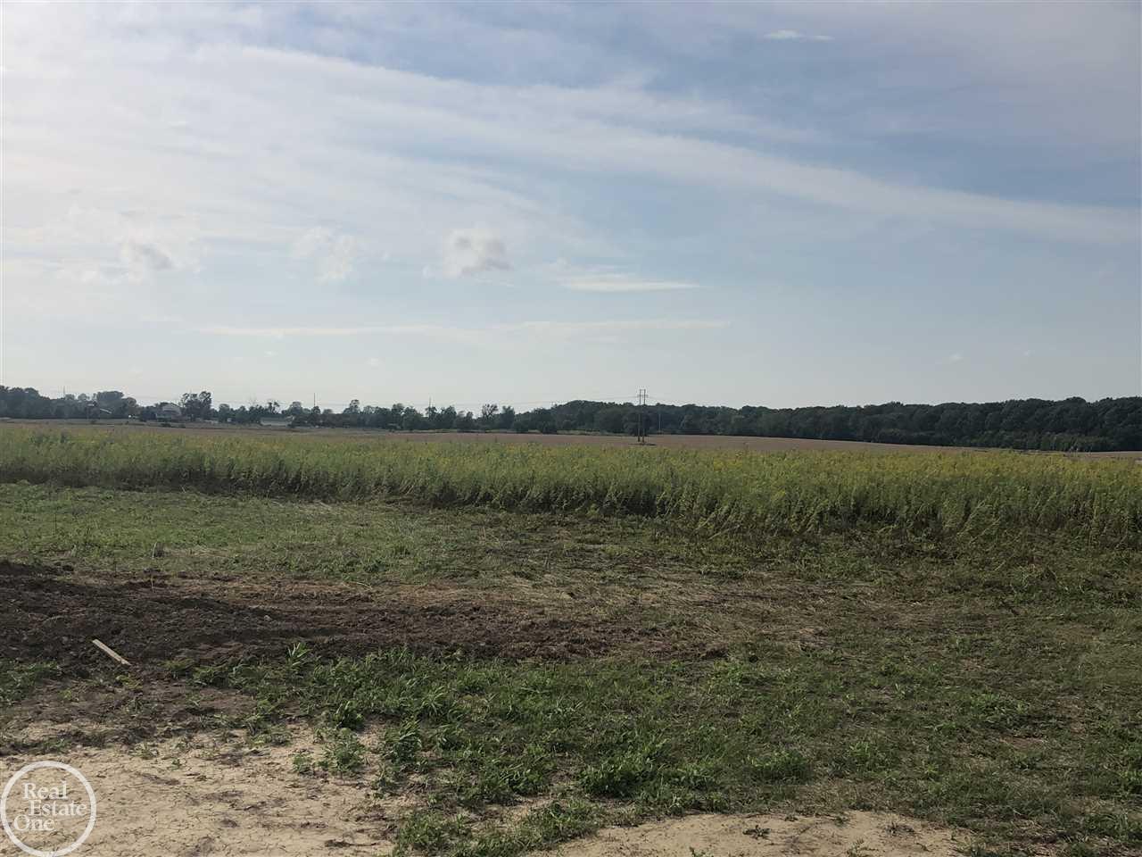 8069 Wildcat Road Jeddo, MI 48032 - Photo 6 of 22 31393254-6.JPG