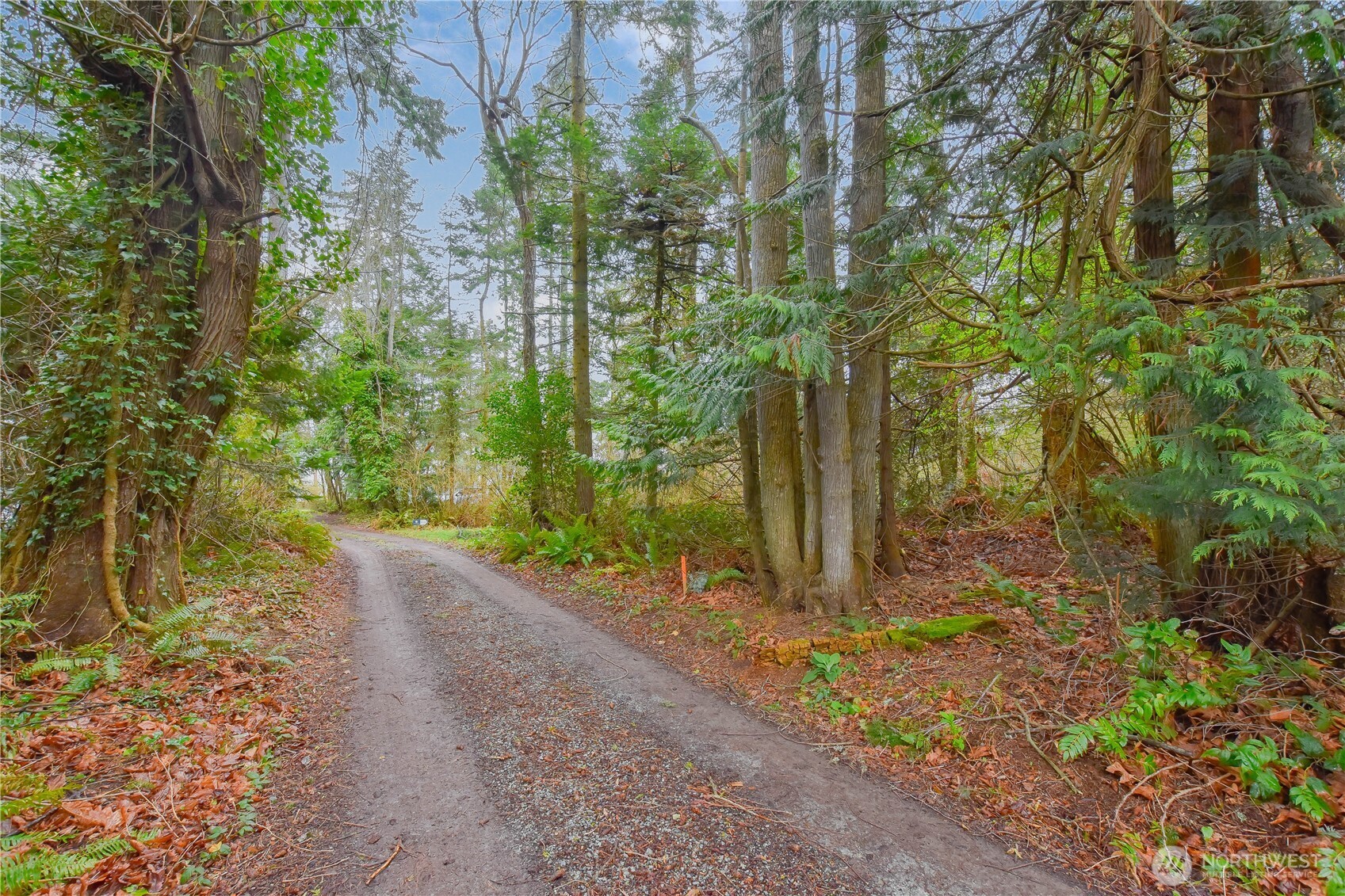 0 Spring Street Camano Island, WA 98282 - Photo 3 of 10 Gallery Image 3