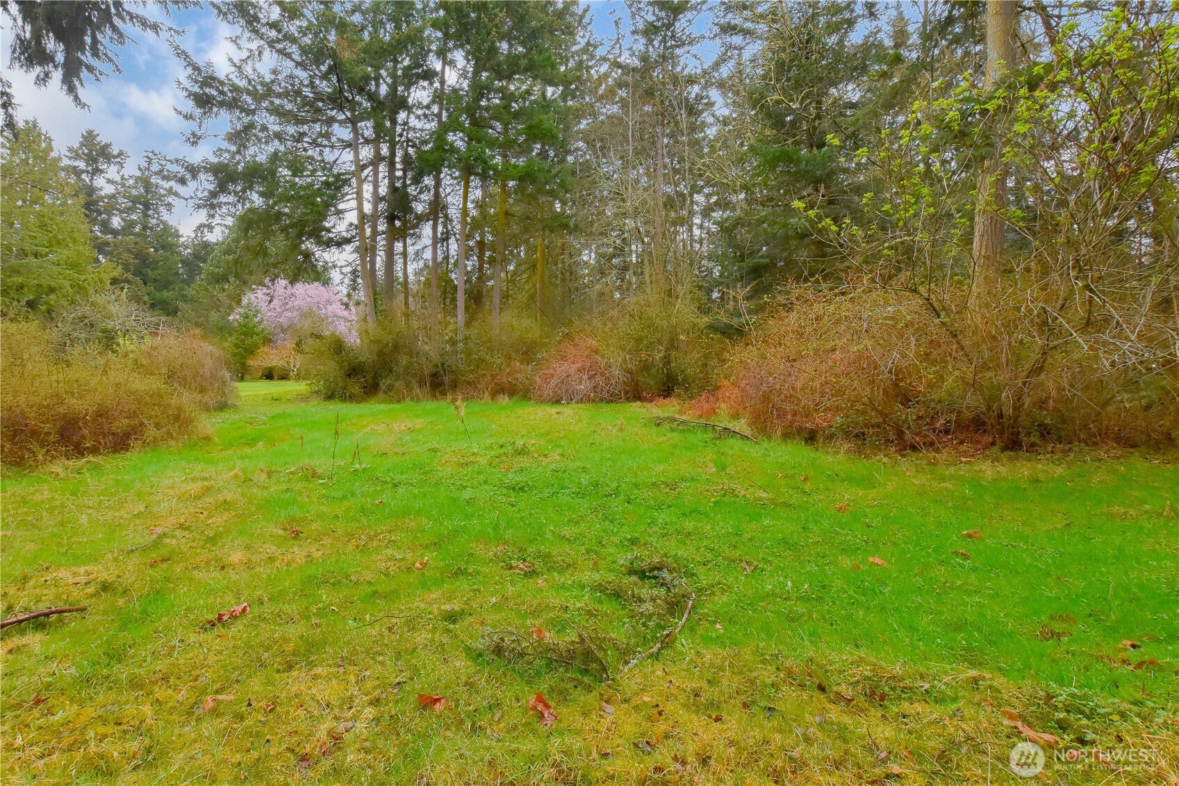 0 Spring Street Camano Island, WA 98282 - Photo 4 of 10 Gallery Image 4