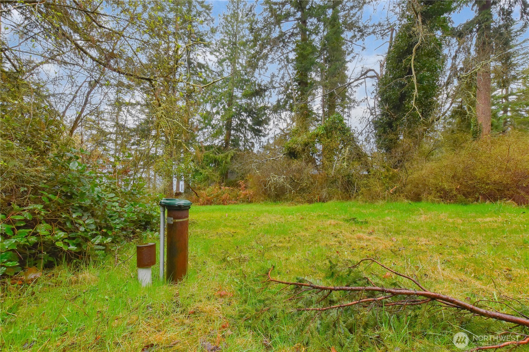 0 Spring Street Camano Island, WA 98282 - Photo 6 of 10 Gallery Image 6