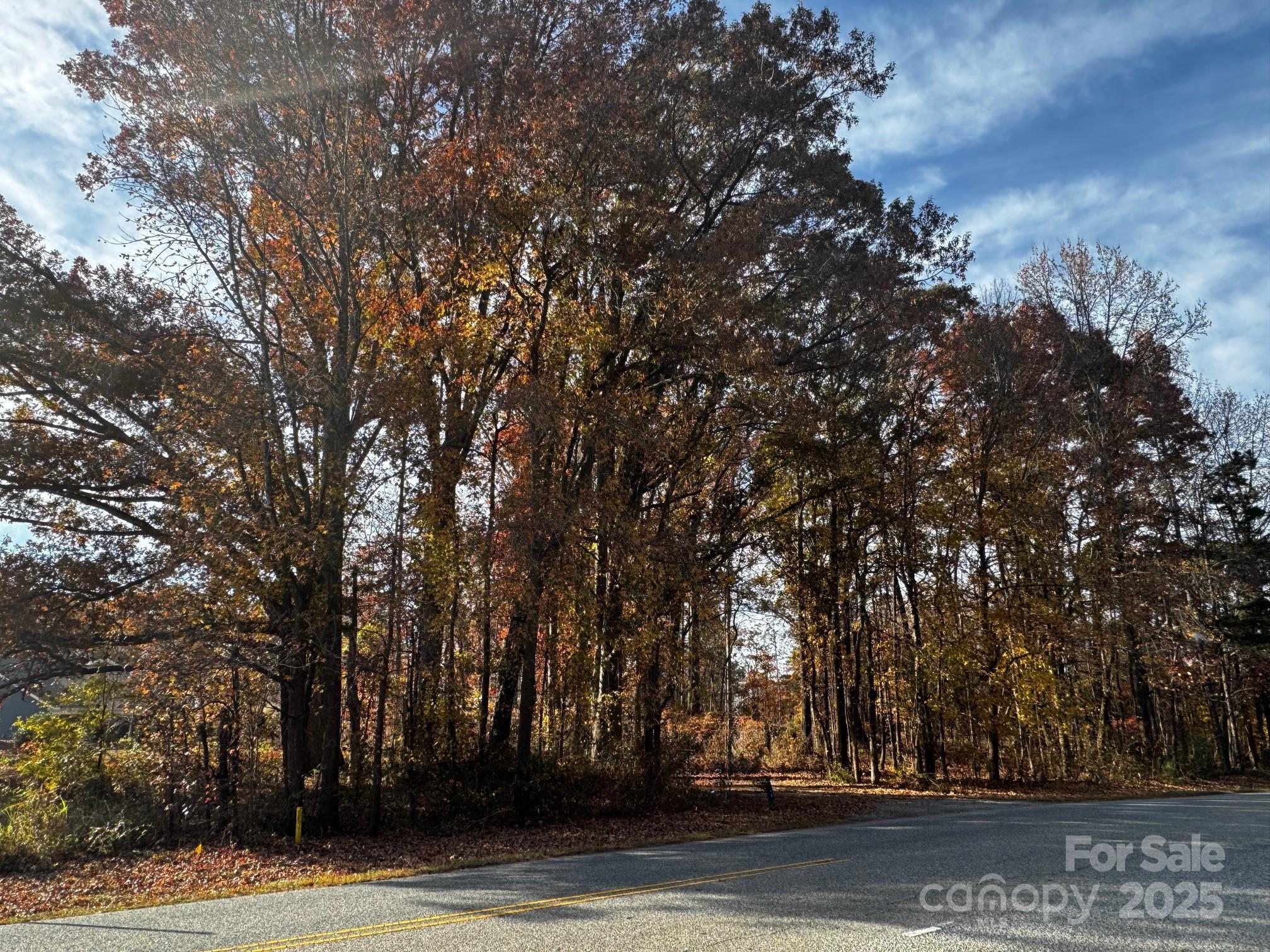 0 Potter Road Monroe, NC 28110 - Photo 4 of 5 a view of a yard with large trees