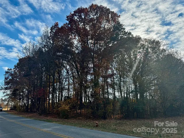a night view of a yard