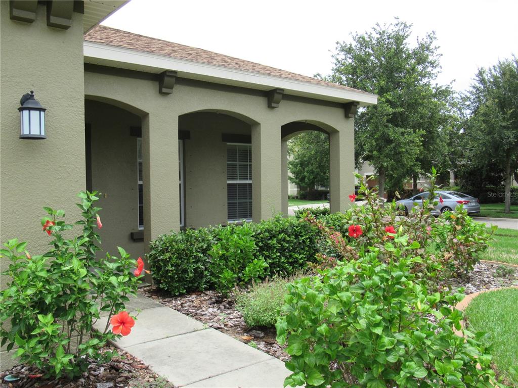 2822 Maple Brook Loop Lutz, FL 33558 - Photo 3 of 27
