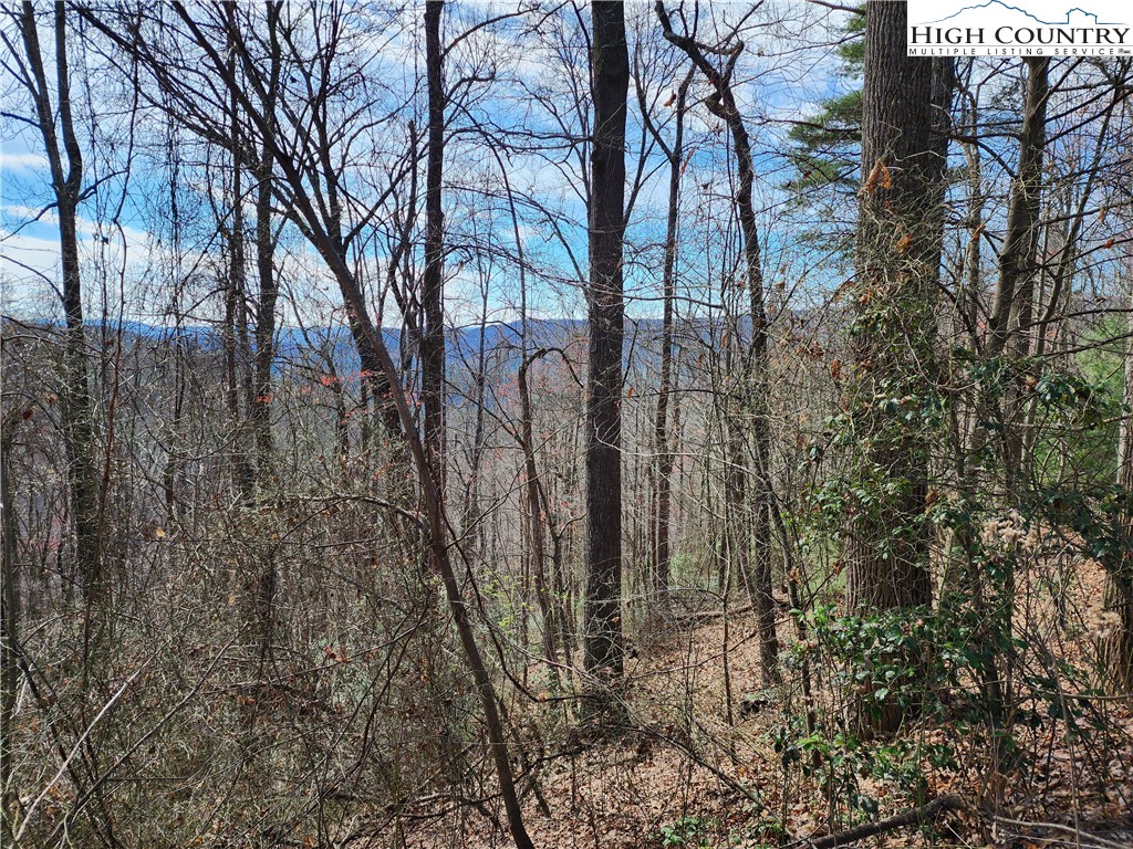Deer Run Purlear, NC 28665 - Photo 1 of 15 a backyard of a house with lots of green space