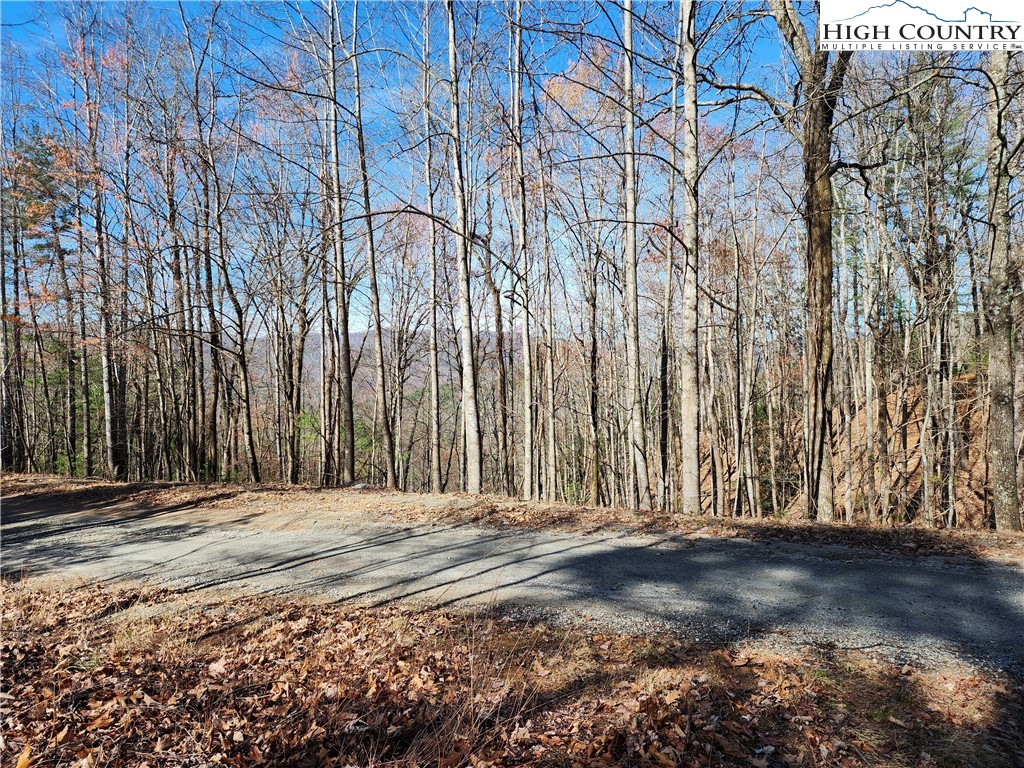 Deer Run Purlear, NC 28665 - Photo 11 of 15 a view of a backyard of the house