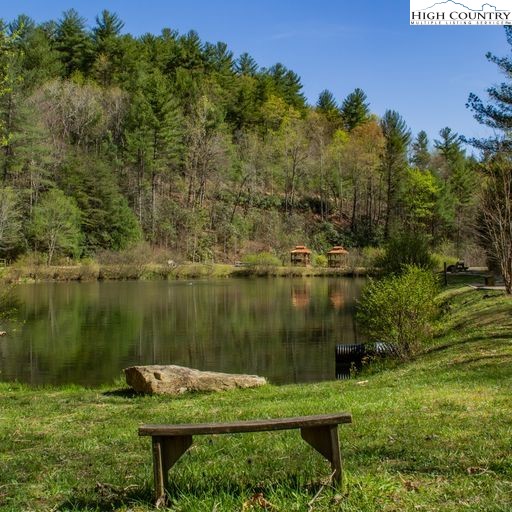 Deer Run Purlear, NC 28665 - Photo 13 of 15 a view of a lake from a yard