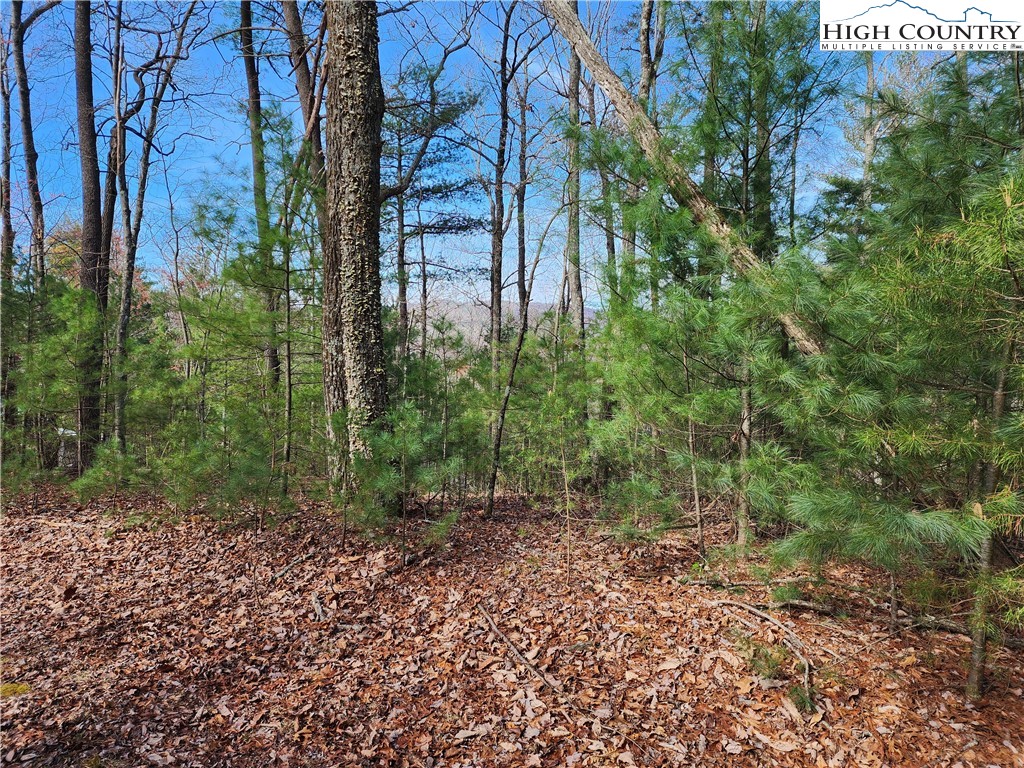 Deer Run Purlear, NC 28665 - Photo 5 of 15 a view of a garden