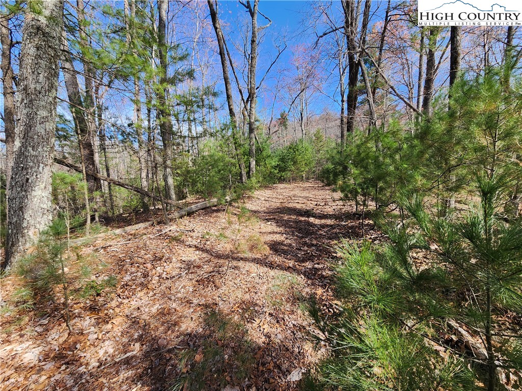 Deer Run Purlear, NC 28665 - Photo 10 of 15 a backyard of a house with lots of green space