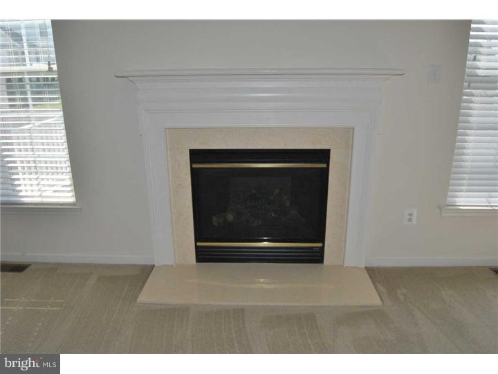 278 Barnhill Road Perkasie, PA 18944 - Photo 10 of 22 Fireplace