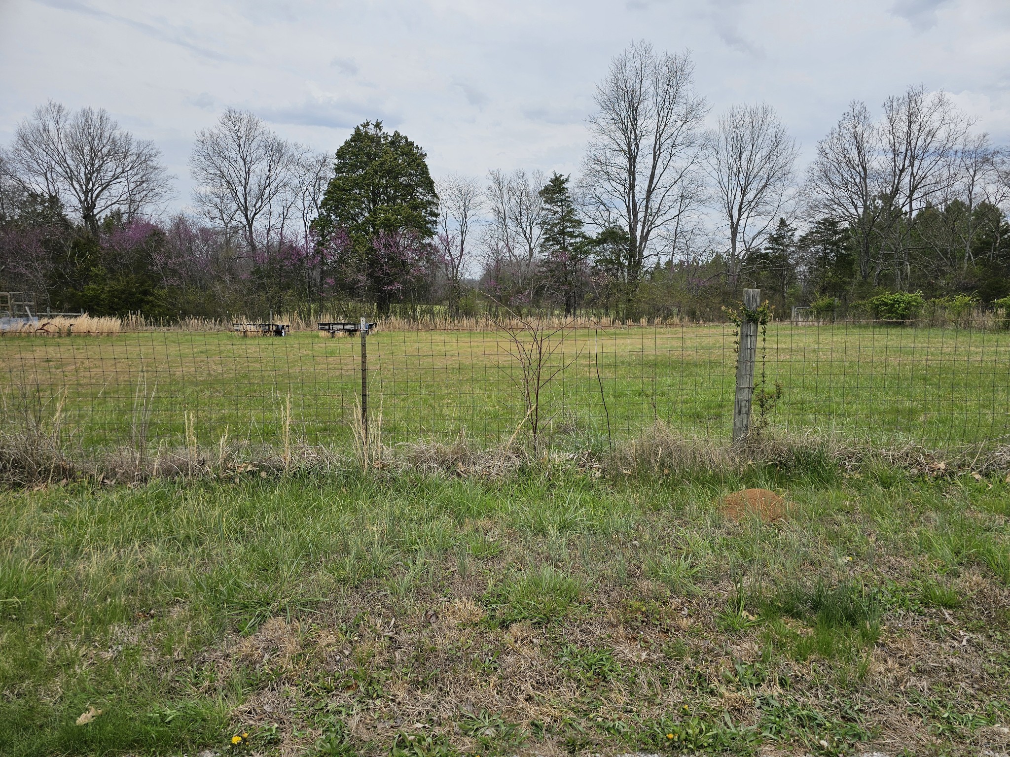 2526 Endsley Rankin Road Lewisburg, TN 37091 - Photo 46 of 49 a view of outdoor space and yard