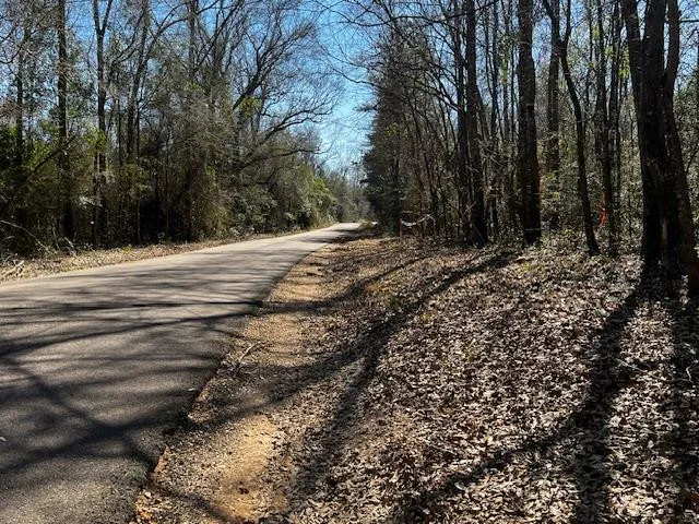 $44,000 | Lot #3 Jessie Stogner Road, Sandy Hook, MS 39478