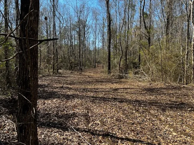 $44,000 | Lot #3 Jessie Stogner Road, Sandy Hook, MS 39478