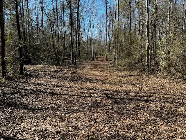 $44,000 | Lot #3 Jessie Stogner Road, Sandy Hook, MS 39478