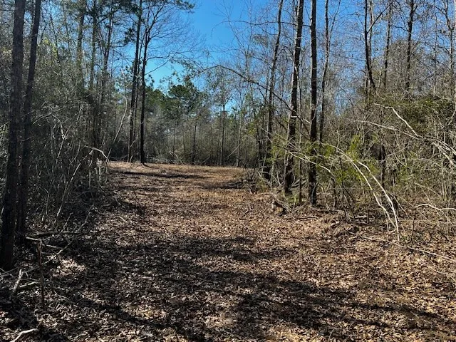 $44,000 | Lot #3 Jessie Stogner Road, Sandy Hook, MS 39478