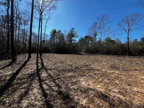 $44,000 | Lot #3 Jessie Stogner Road, Sandy Hook, MS 39478