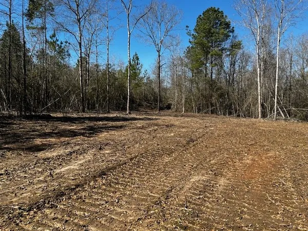 $44,000 | Lot #3 Jessie Stogner Road, Sandy Hook, MS 39478