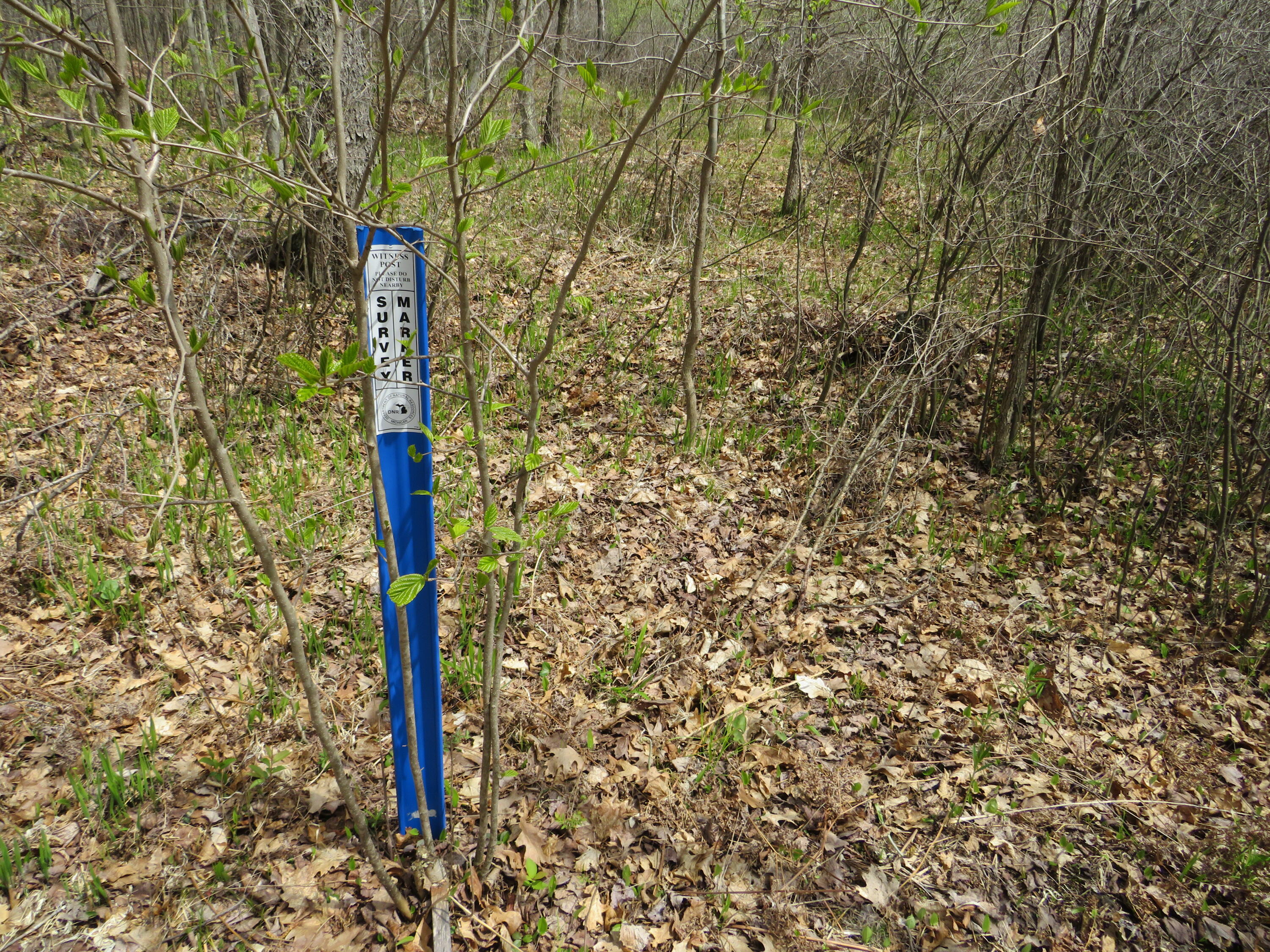North Chippewa Rd Mount Mount Pleasant, MI 48858 - Photo 20 of 28 IMG_4906