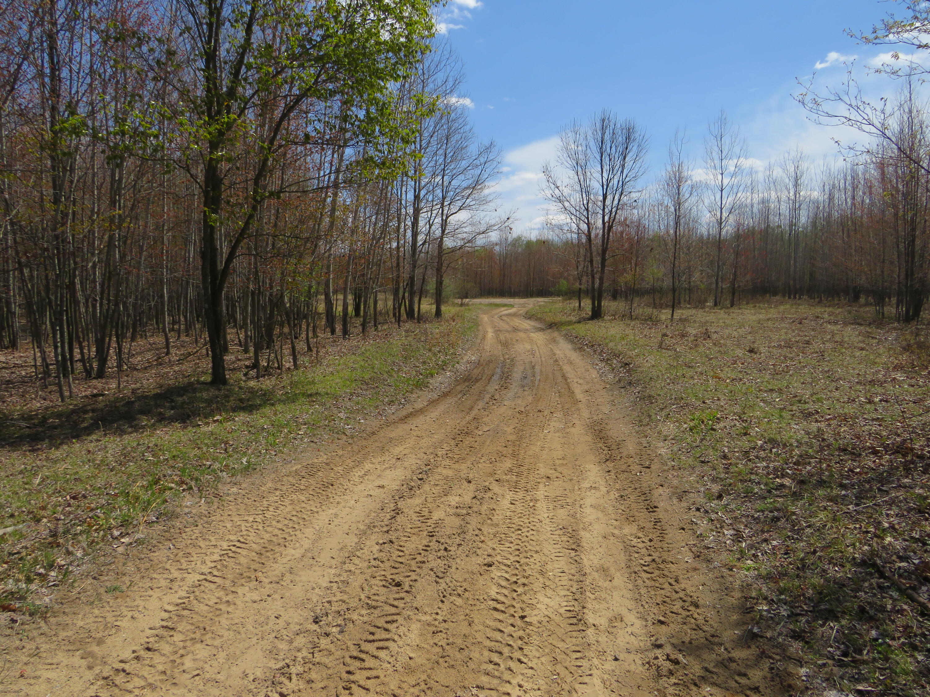 North Chippewa Rd Mount Mount Pleasant, MI 48858 - Photo 2 of 28 IMG_4846