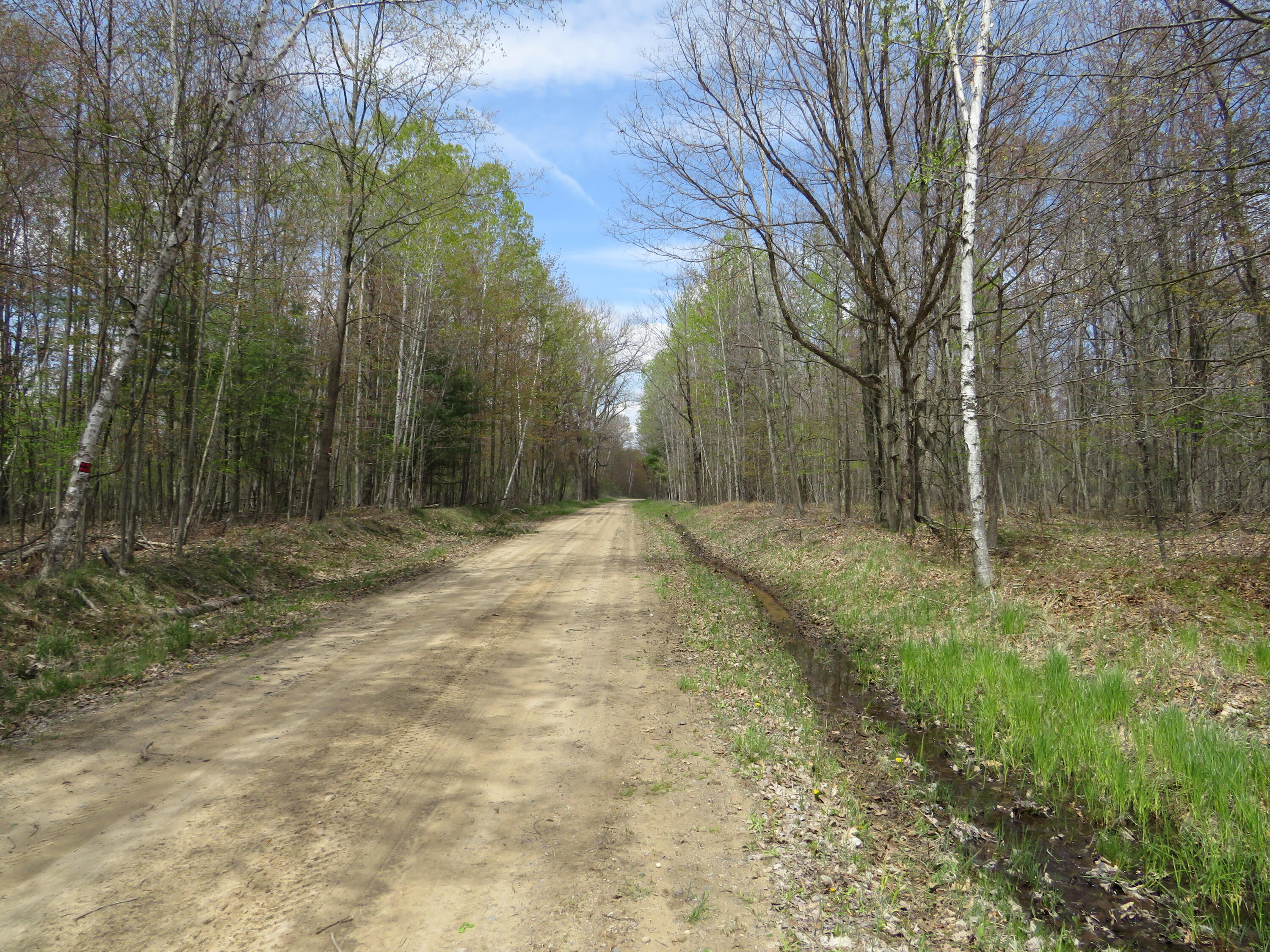 North Chippewa Rd Mount Mount Pleasant, MI 48858 - Photo 21 of 28 IMG_4907