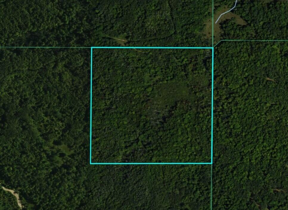 North Chippewa Rd Mount Mount Pleasant, MI 48858 - Photo 25 of 28 AerialView5