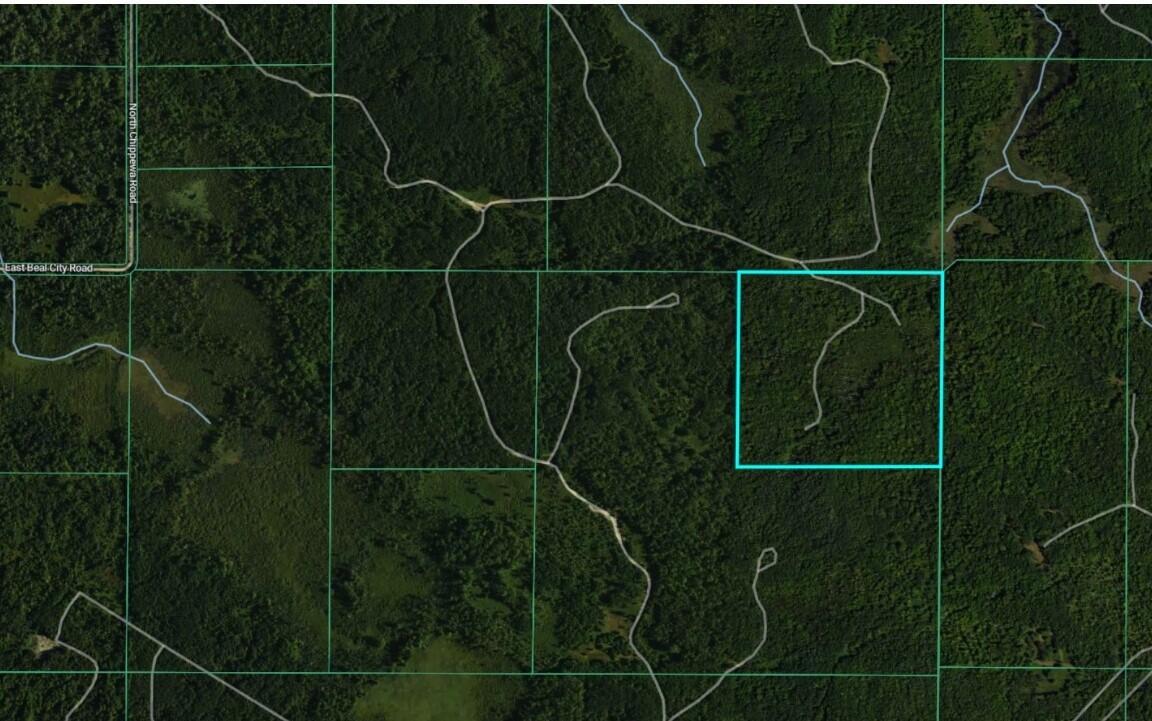 North Chippewa Rd Mount Mount Pleasant, MI 48858 - Photo 26 of 28 AerialView4