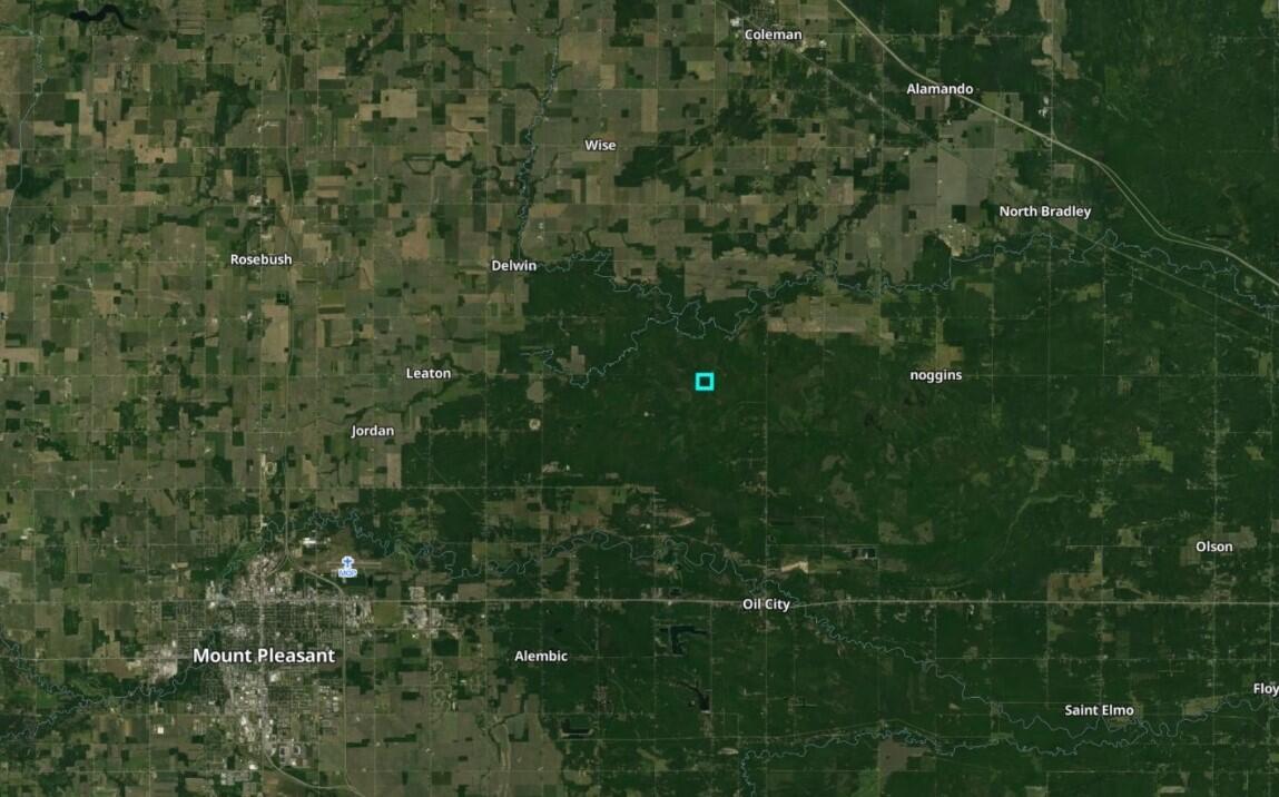 North Chippewa Rd Mount Mount Pleasant, MI 48858 - Photo 28 of 28 AerialView6