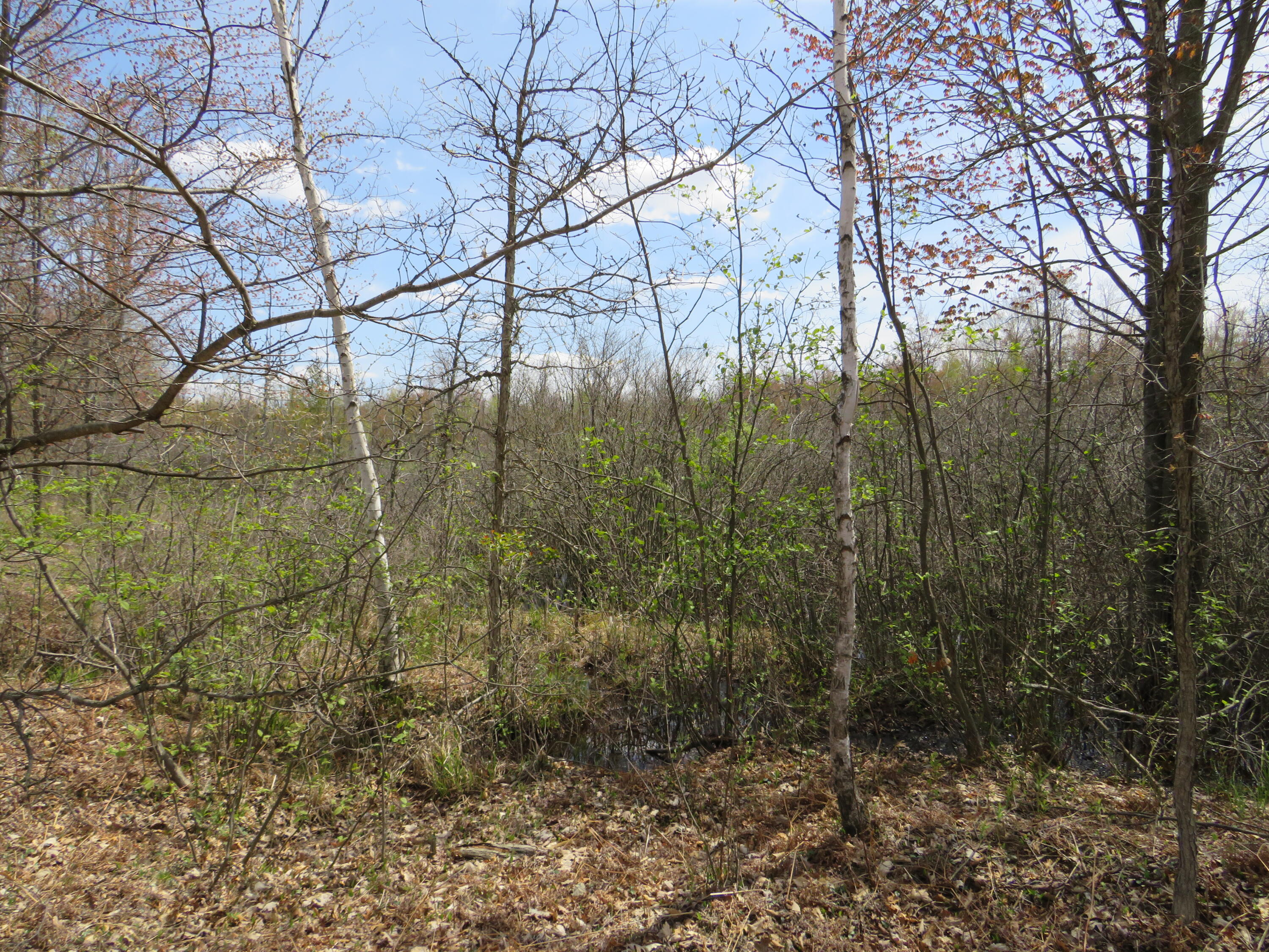 North Chippewa Rd Mount Mount Pleasant, MI 48858 - Photo 6 of 28 IMG_4868