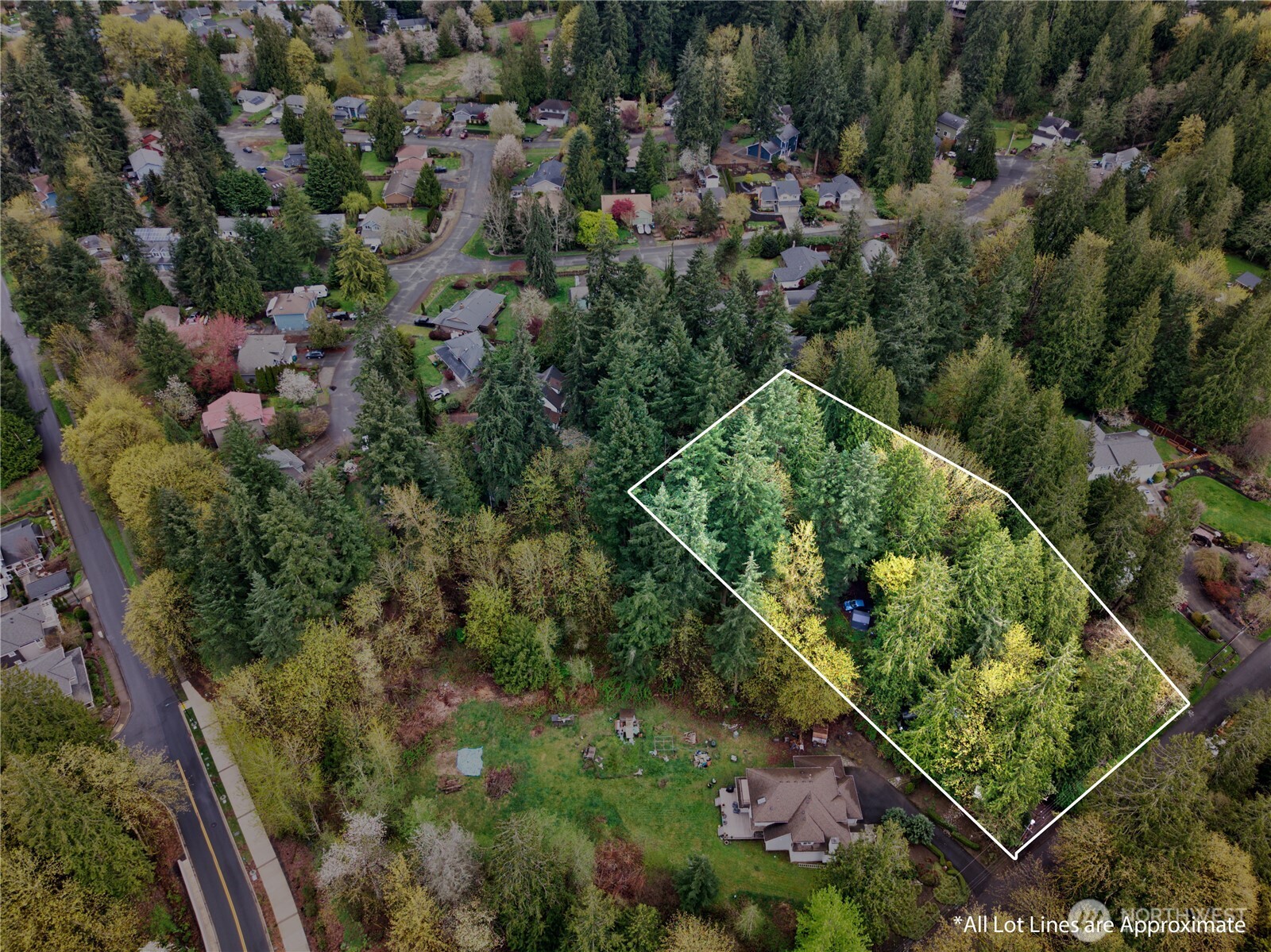 26910 Northeast Kennedy Drive Duvall, WA 98019 - Photo 1 of 24 an aerial view of residential house with outdoor space and trees all around