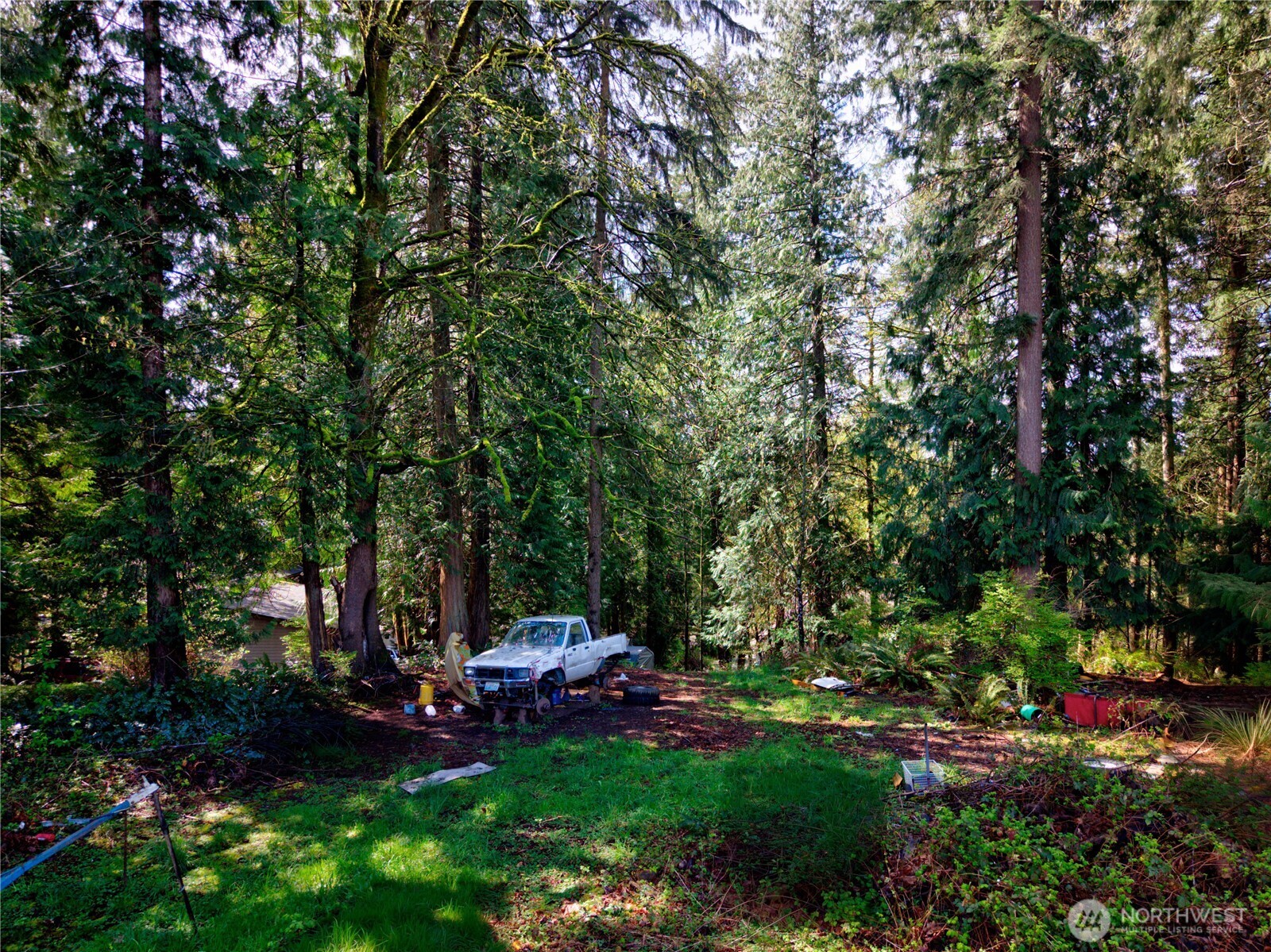 26910 Northeast Kennedy Drive Duvall, WA 98019 - Photo 3 of 24 a view of backyard with a table and chairs a barbeque and a large trees