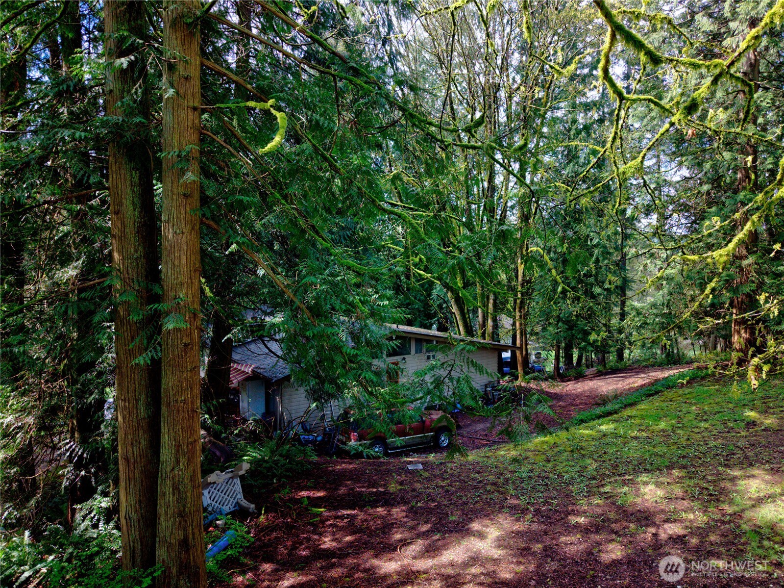 26910 Northeast Kennedy Drive Duvall, WA 98019 - Photo 7 of 24 a view of a park with large trees