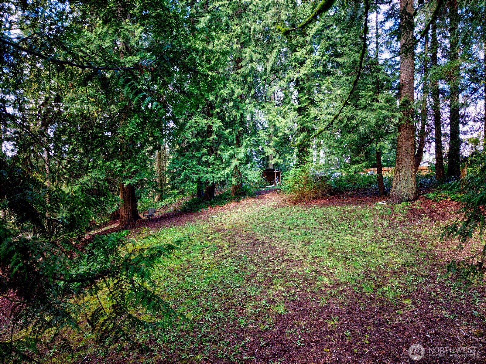 26910 Northeast Kennedy Drive Duvall, WA 98019 - Photo 8 of 24 a view of a yard with a tree