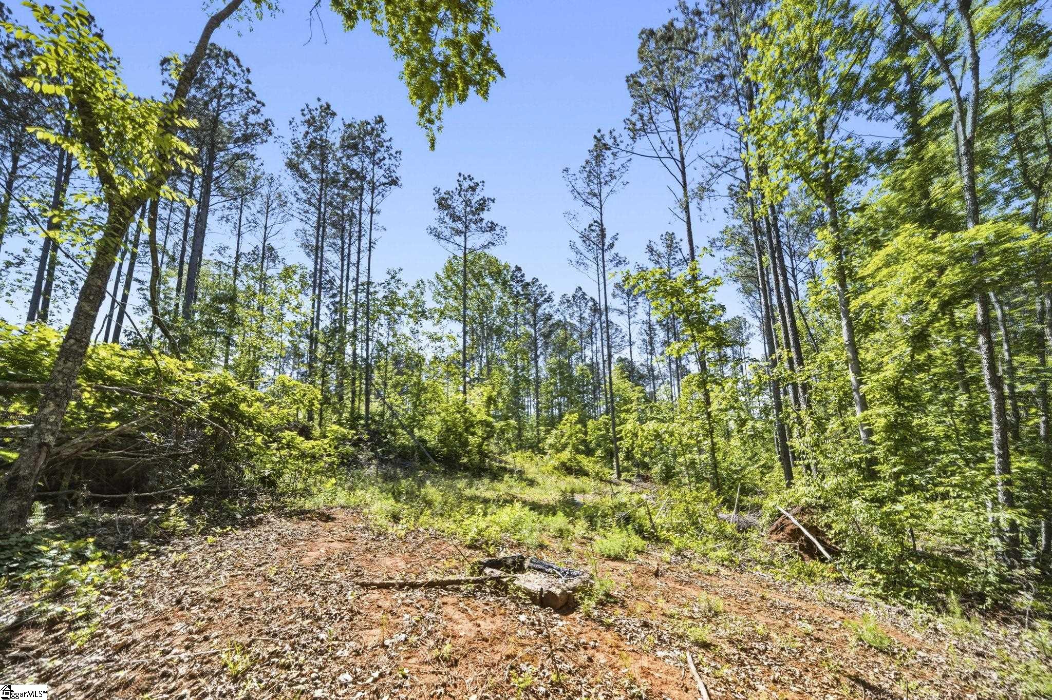 516 Franklin Finley Road Easley, SC 29640 - Photo 16 of 20