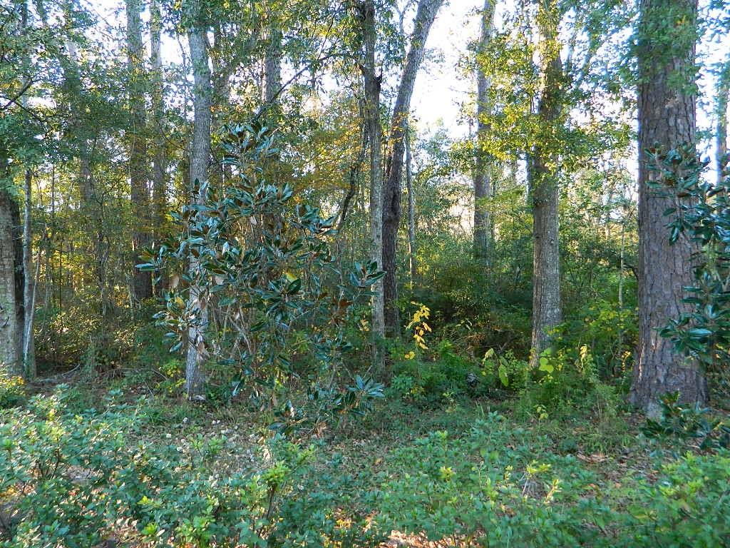 0 Lot 13b Old Landing Road Covington, LA 70433 - Photo 1 of 11 Gallery Image 1