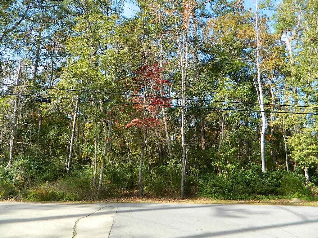 0 Lot 13b Old Landing Road Covington, LA 70433 - Photo 2 of 11 Gallery Image 2