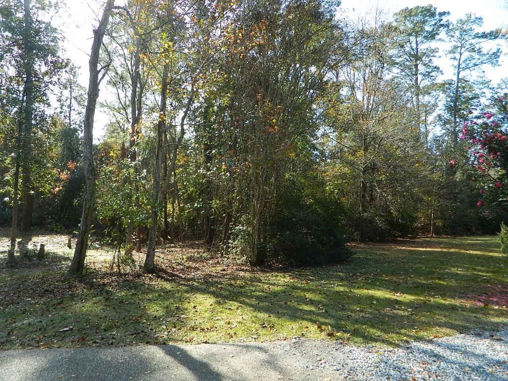 0 Lot 13b Old Landing Road Covington, LA 70433 - Photo 4 of 11 Gallery Image 4