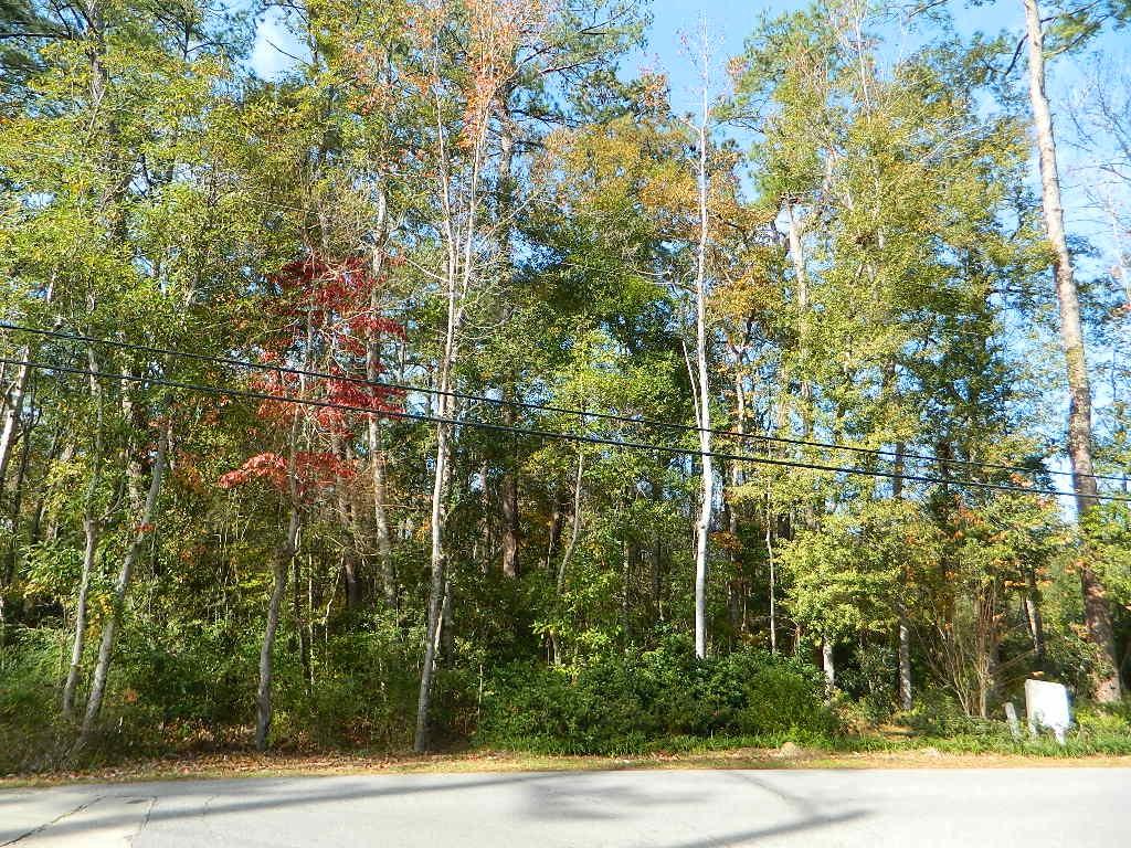 0 Lot 13b Old Landing Road Covington, LA 70433 - Photo 5 of 11 Gallery Image 5