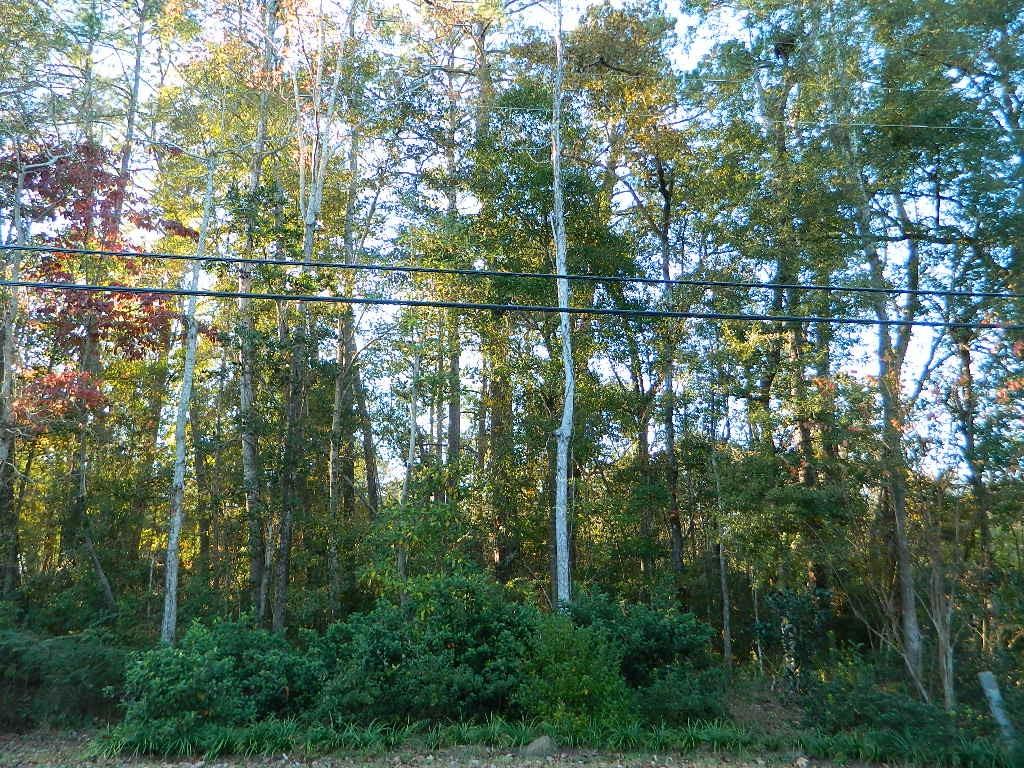 0 Lot 13b Old Landing Road Covington, LA 70433 - Photo 8 of 11 Gallery Image 8