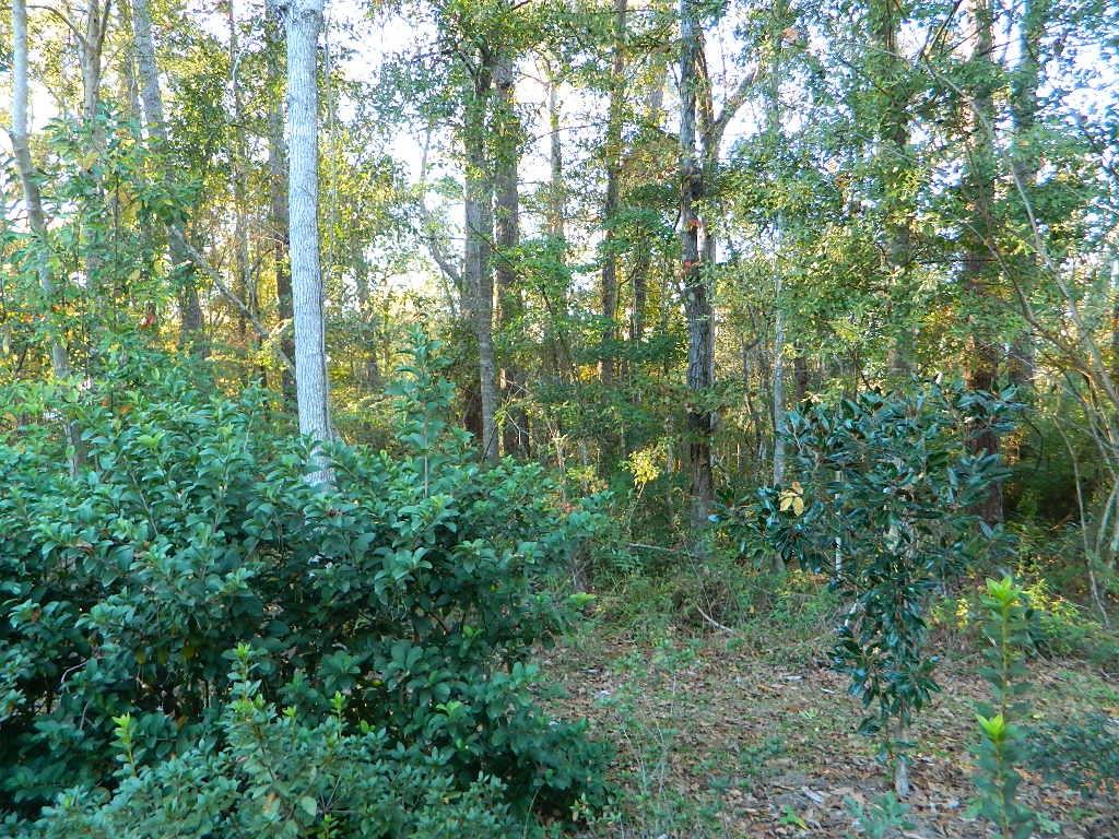 0 Lot 13b Old Landing Road Covington, LA 70433 - Photo 9 of 11 Gallery Image 9