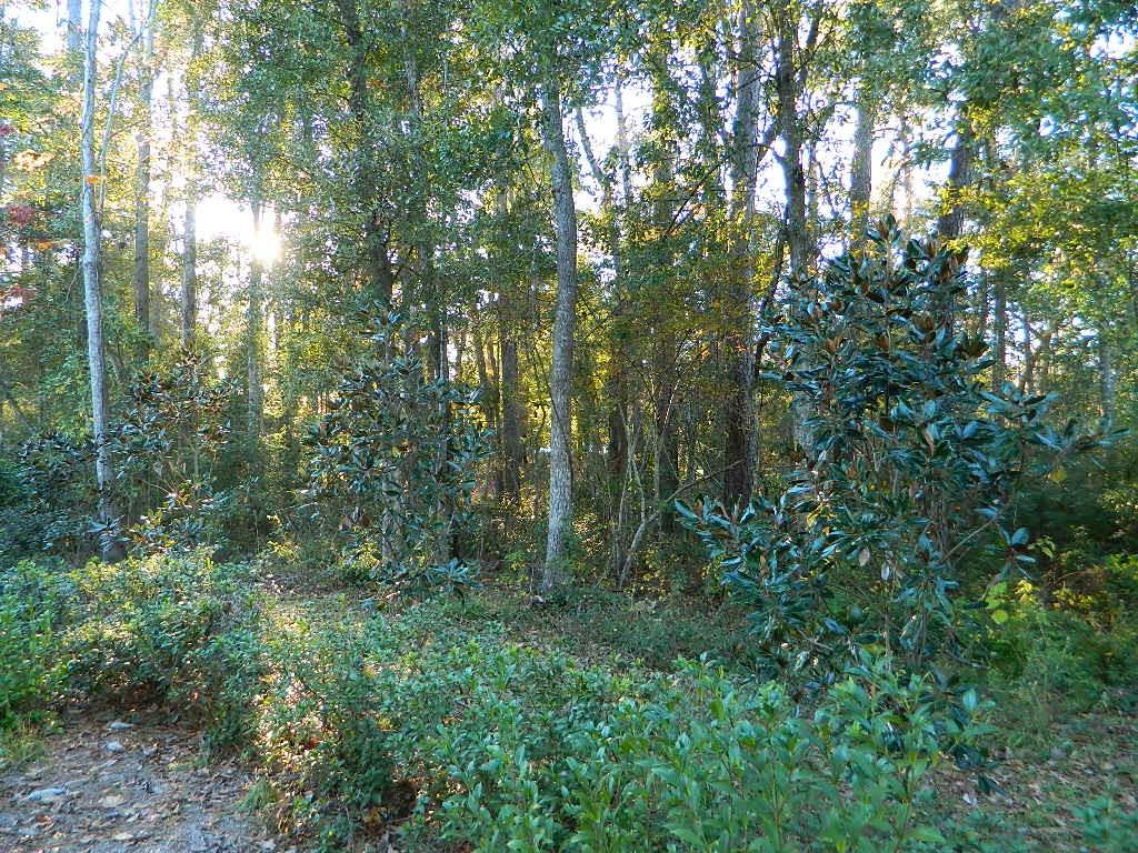 0 Lot 13b Old Landing Road Covington, LA 70433 - Photo 10 of 11 Gallery Image 10