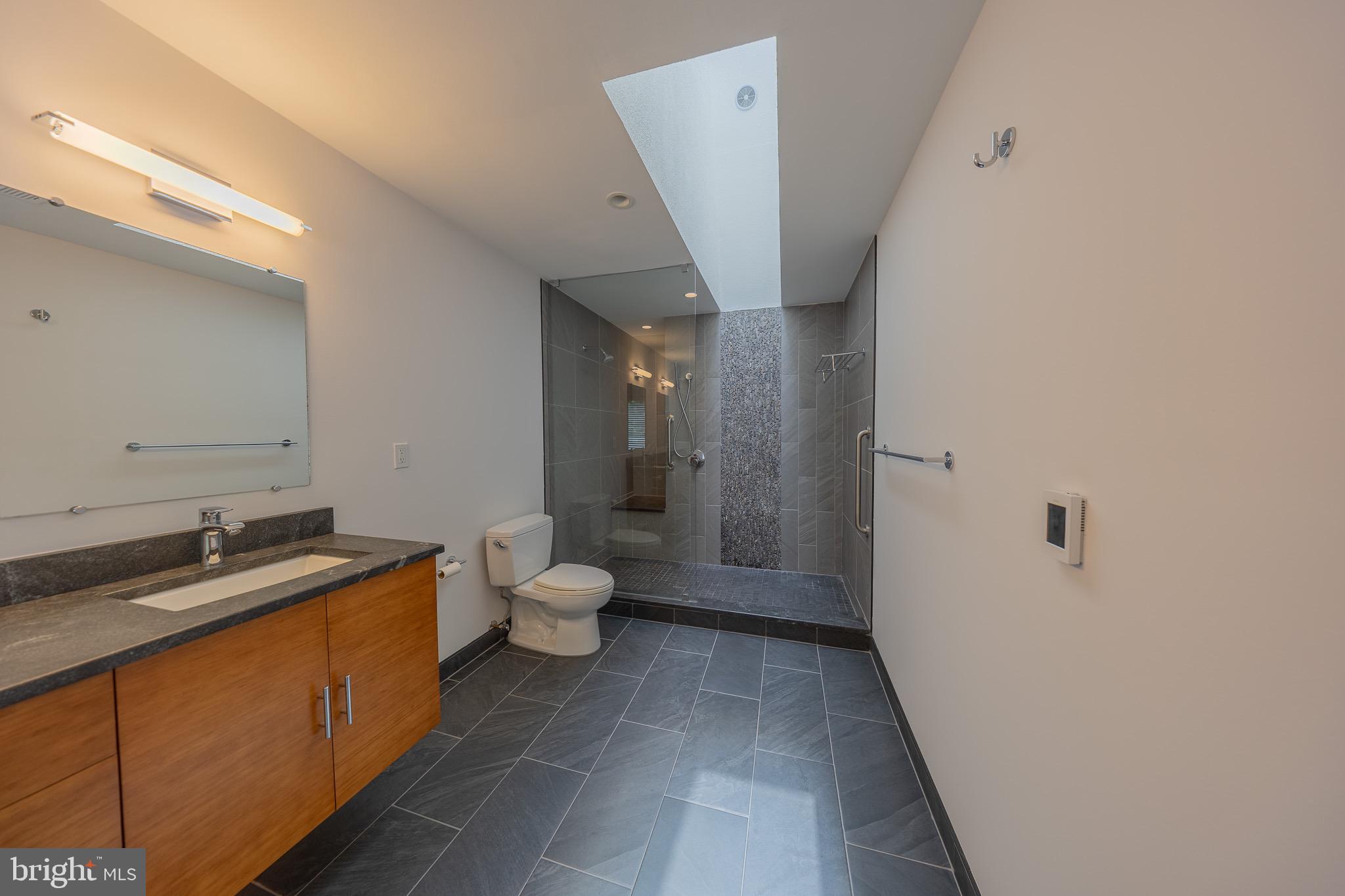 2201 Cedar Cove Court Reston, VA 20191 - Photo 16 of 25 Skylight in the primary bath with natural light