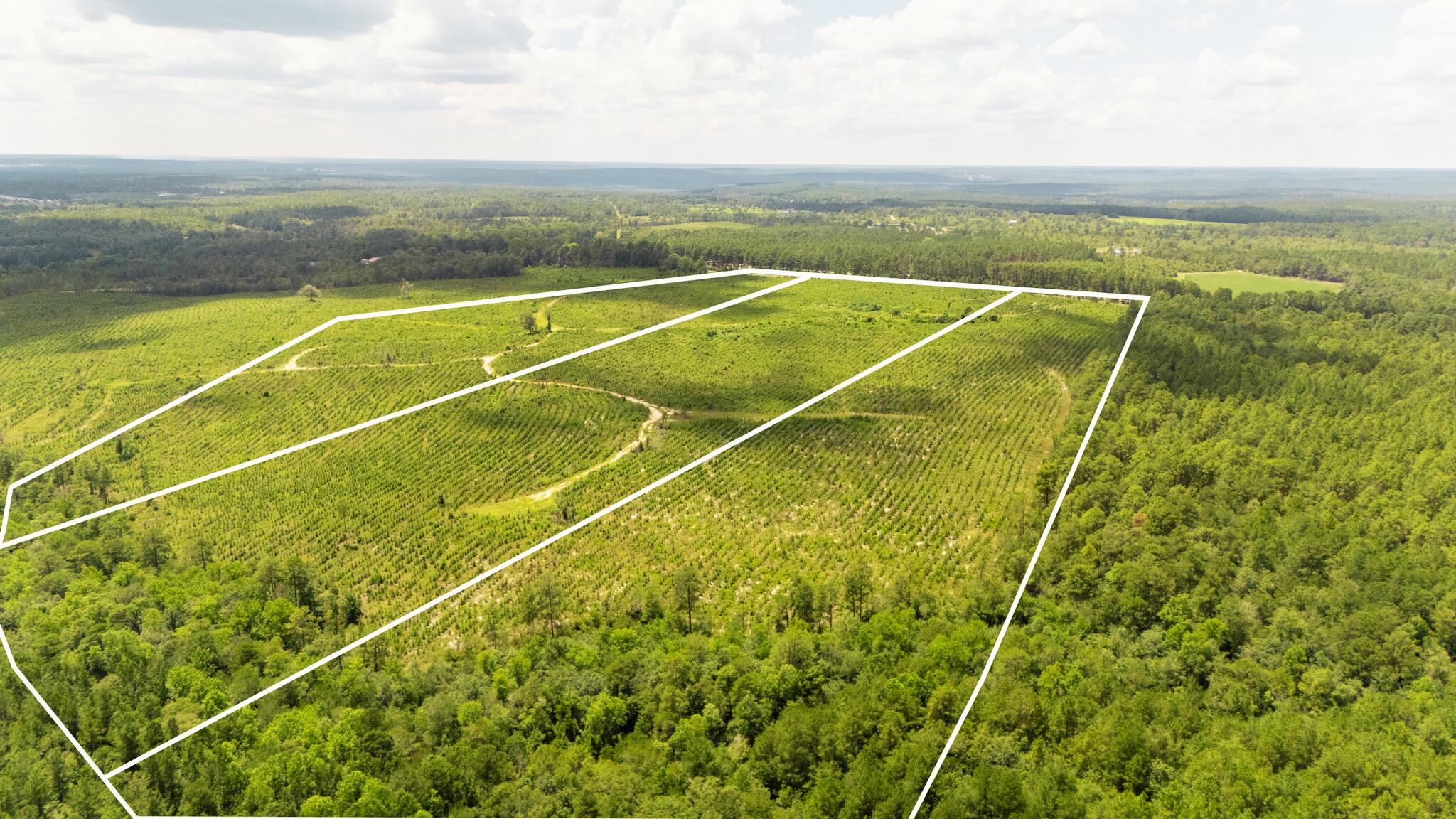 Lot 2 Notch Road Ridge Spring, SC 29129 - Photo 2 of 14