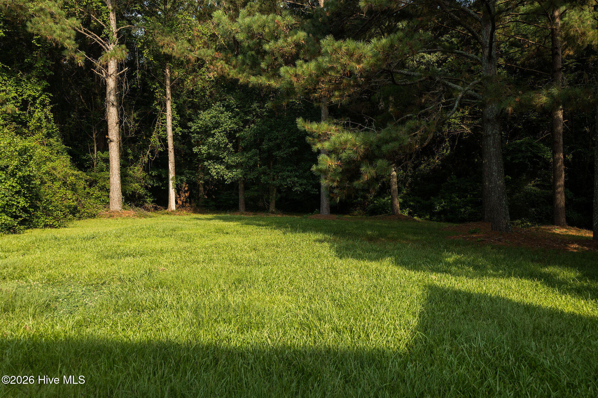 1006 Braswell Road Goldsboro, NC 27530 - Photo 40 of 42