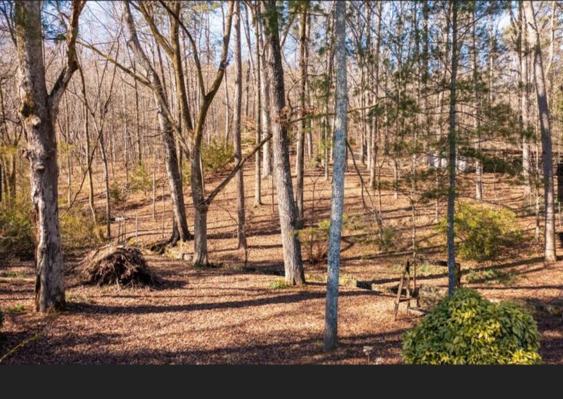 23 Wooten Road Ringgold, GA 30736 - Photo 4 of 33 _20230120-150509-343