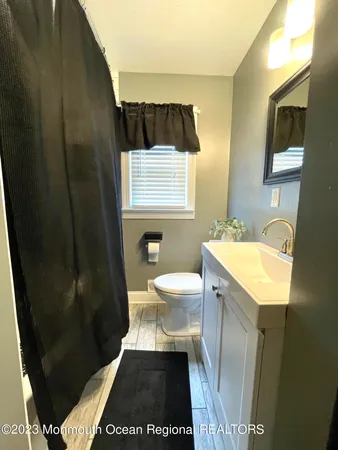 a bathroom with a sink a toilet a mirror and vanity