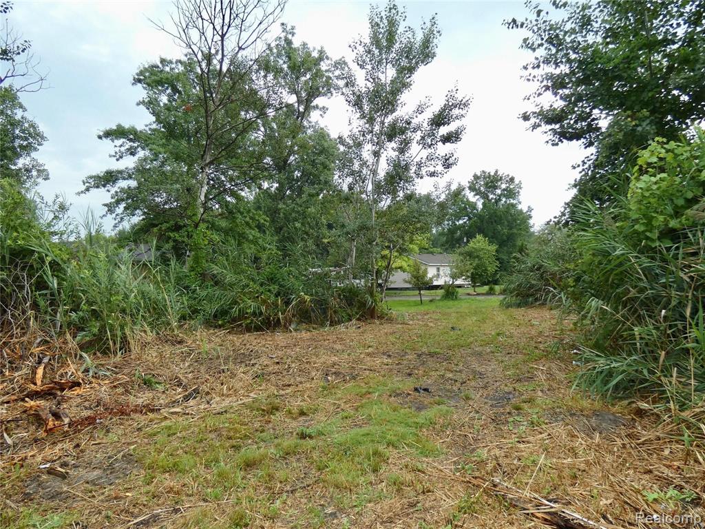 21332 Dix Toledo Road Woodhaven, MI 48183 - Photo 28 of 33
