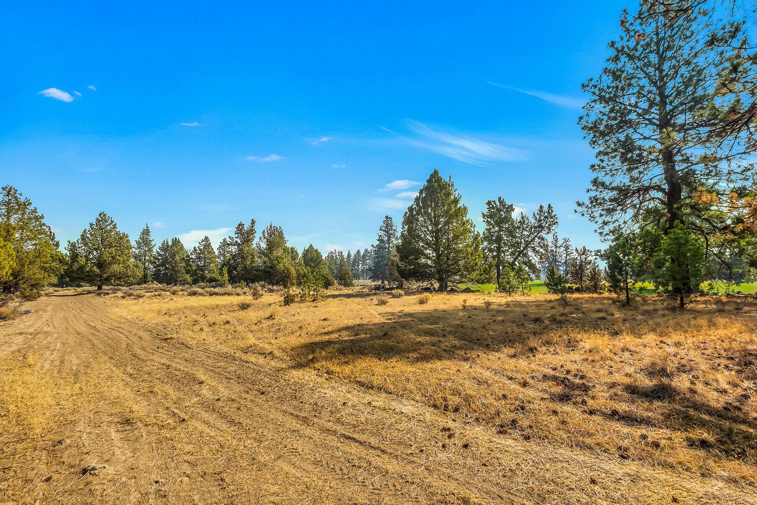 18880 Kuhlman Road Bend, OR 97703 - Photo 41 of 44 OReilly_20201009_44_7935_72ppi