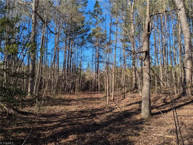 $19,900 | 131 Stormy Court, New London, NC 28127