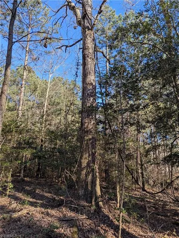 $19,900 | 131 Stormy Court, New London, NC 28127